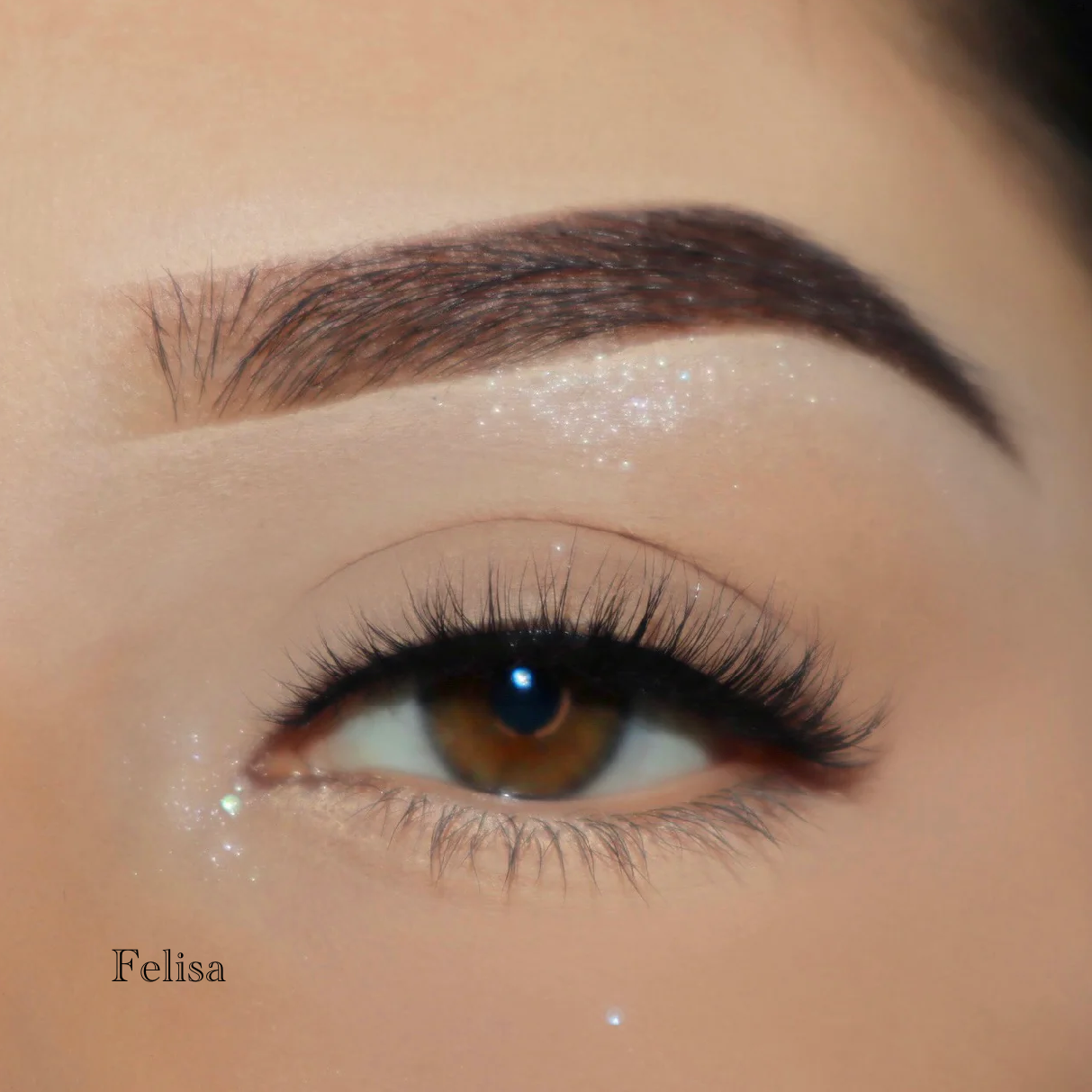 Felisa